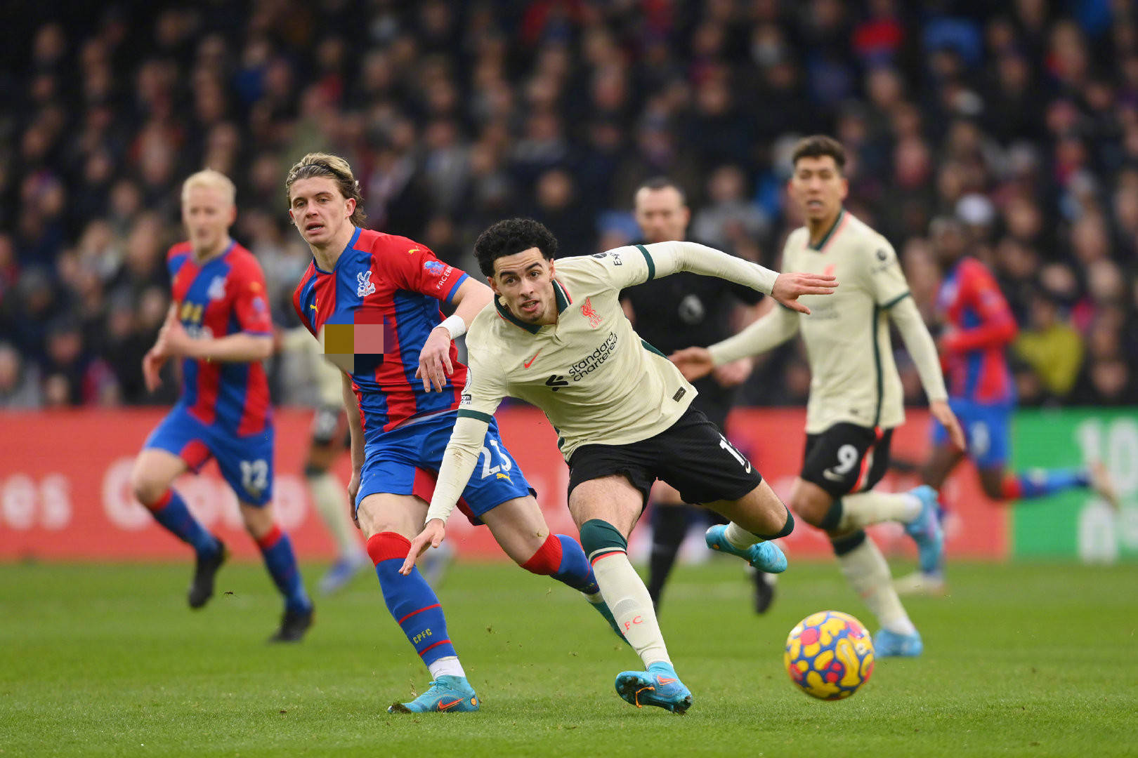 富的文化活 富的文化活